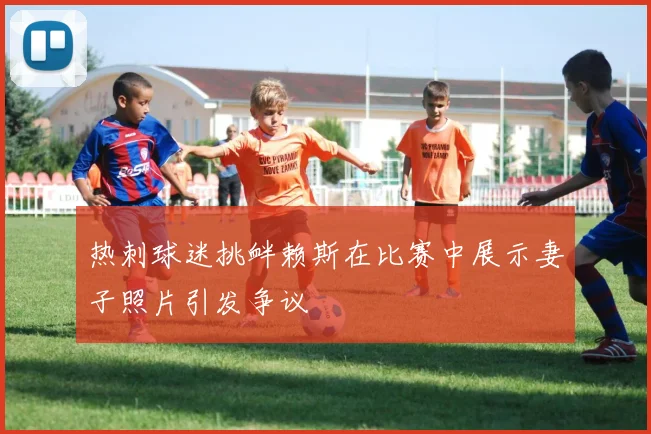 热刺球迷挑衅赖斯在比赛中展示妻子照片引发争议