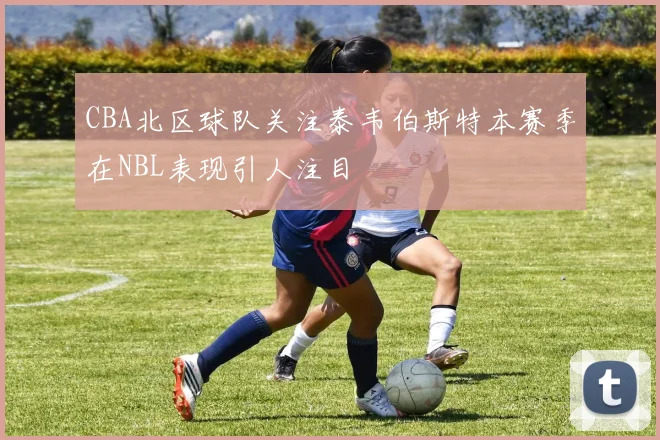 CBA北区球队关注泰韦伯斯特本赛季在NBL表现引人注目