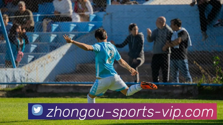 中欧体育平台生态图