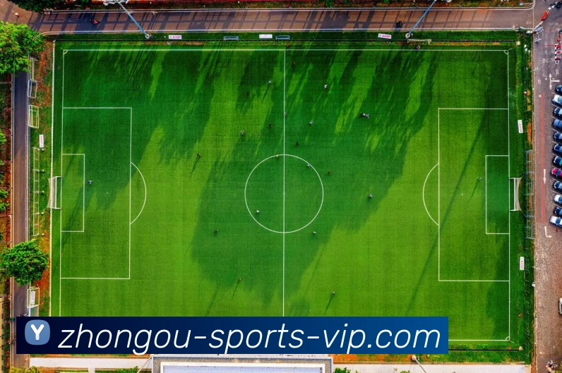 数据防护可视化